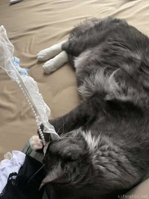 微密圈巨乳肥臀红人【笨蛋初初】_2048.cc-(163)