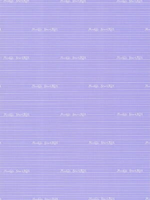 (C106) [紅音色(里美樹)] 蝶を惑わす甘い水 (崩壊：スターレイル)_02