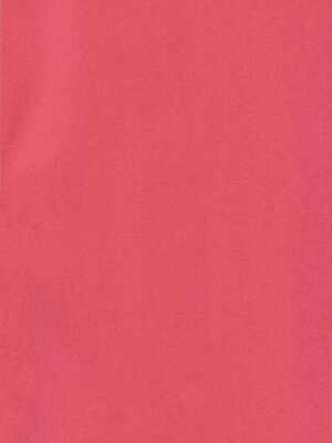 (C93) [ラピスラズリ鉱石 (黒羽ラピッド)] 鬼達の戦いはこれからだ! (東方Project) [中国翻訳]_27