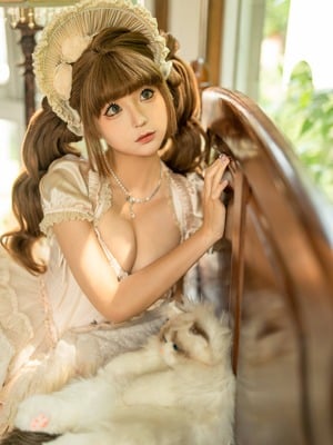 蠢沫沫 –  布偶猫