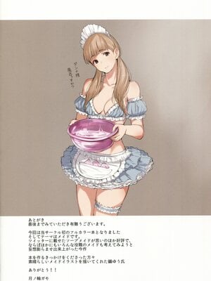 (C89) [蔵鴨 (月ノ輪ガモ)] MAID IROIRO_022