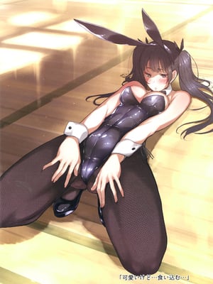 (C90) [蔵鴨 (月ノ輪ガモ)] BUNNY IROIRO_013