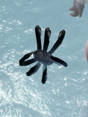 【ryooo】魔导世界11-21+番外_4744