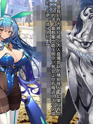 [とりのおいしいところ (鳥三、波多)] 聖霊騎装バニキューレ・フレイア [村长个人汉化]_0035