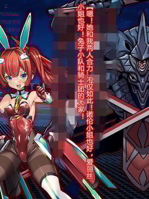 [とりのおいしいところ (鳥三、波多)] 聖霊騎装バニキューレ・フレイア [村长个人汉化]_0117