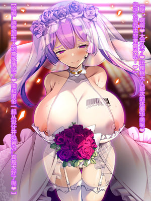 [とりのおいしいところ (鳥三、波多)] 聖霊騎装バニキューレ・フレイア [村长个人汉化]_1373