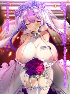 [とりのおいしいところ (鳥三、波多)] 聖霊騎装バニキューレ・フレイア [村长个人汉化]_1387