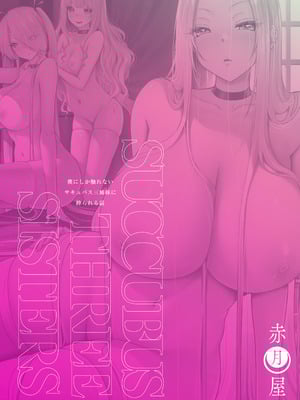 [赤月屋 (赤月みゅうと)] 僕にしか触れないサキュバス3姉妹に搾られる話4〜長女レミィ編(前編)〜｜被只有我才能触碰的榨精魅魔三姐妹榨得一干二净的故事4〜长女蕾米篇前篇〜 [白杨汉化组] [DL版]_84