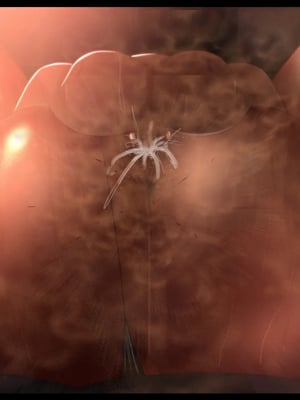 [ケセラ・セラ (瀬良透)] ゴリムチ女戦士さん♪お下劣チン道中っ!♪～硬派で屈強だけどゴブリンとかオークとかジジィとか変態魔導士とか勇者様に即チン負け三昧の俺っ娘爆乳爆尻女戦士さんっ♪～_457