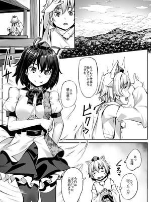 [エリア14 (かせい)] 東方総集編 (東方Project) [DL版]_006