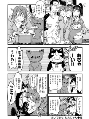 [こんちき] おいでませにゃんにゃん_096
