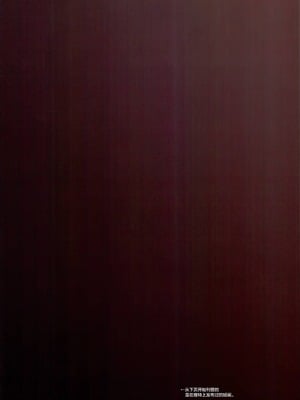 (C94) [しろくろうさ (スギユウ)] 檻の中のイリヤちゃん (Fate kaleid liner プリズマ☆イリヤ) [绅士仓库汉化]_17