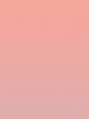 搶救拳擊館大作戰 48-49話_48_14_awry