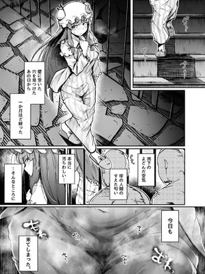[自家発電処 (flanvia)] 穴とむっつりどすけべだいとしょかん総集編 (東方Project) [DL版]_029