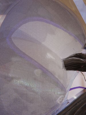 [飞碟] 我的妈妈苏雅薇01-02_002