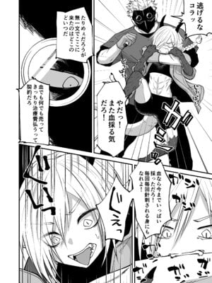 [縞浦堂 (縞浦)] 陽だまりの竜、夕暮れの鴉 [DL版]_012