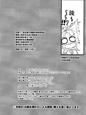 (C91) [Honoji (プーアカちゃん)] ダンボールのパレス (東方Project) [中国翻訳]_28