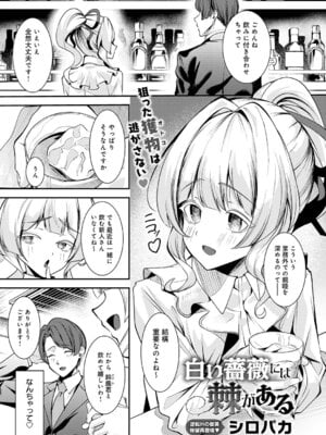 COMIC アンスリウム 2026年1月号 [DL版]_204