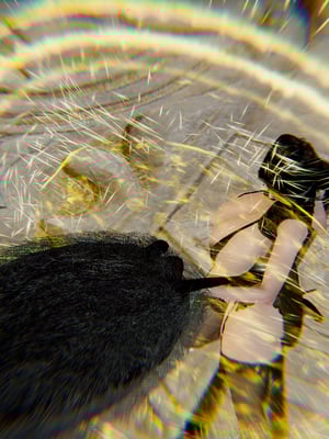 【Jayep】武林 18-兵神怪坛06_0021