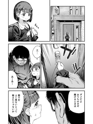 [ホロナミンZ (ホロナミン)] Re：Rape 2 [DL版]_04