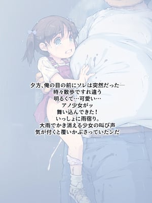 [黒毛と桃汁 (横十輔)] 少女襲ってみた 〜大雨が悪いンじゃない〜_54