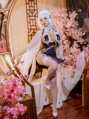 二佐Nisa - 碧蓝航线 天狼星 旗袍_03