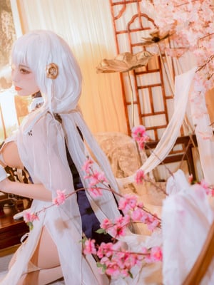 二佐Nisa - 碧蓝航线 天狼星 旗袍_16