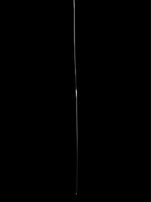 [アイソカーブ (アレグロ)] 追録・異形交尾快楽地獄｜补录・异形交尾快乐地狱 [白杨汉化组] [DL版]_16