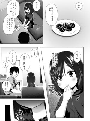 (C107) [ノラネコノタマ (雪野みなと)] よるべのないしのんちゃん 前編 [DL版]_05