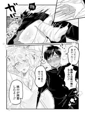 [アンソロジー] 黄金のソナタXXX その二十_133