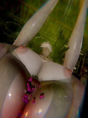 【Jayep】武林 18-兵神怪坛06_0197