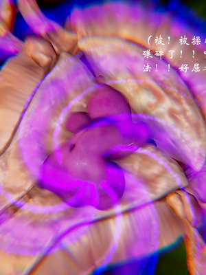 【Jayep】武林 20-兵神怪坛7B_209