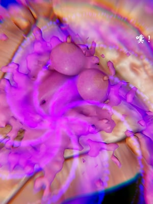 【Jayep】武林 20-兵神怪坛7B_211