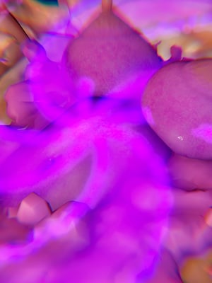 【Jayep】武林 20-兵神怪坛7B_213