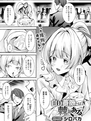 [シロパカ] 白い薔薇には棘がある