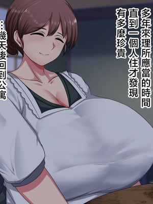 [ハスラーズ] 実家に帰るといっぱい甘々セックスさせてくれるお母さん [中国翻訳]_0013