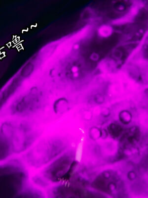 [TTi] 天玄神魔录 01-10_5-134