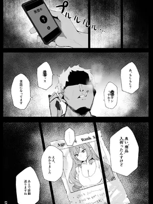 [鳴鳥義塾 (ときば)] LOST SIGNAL (ゼンレスゾーンゼロ) [DL版]_13_vrem