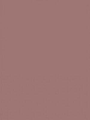 [韩漫] 大學生活就從社團開始 1-97 [中文][完结]_97_16