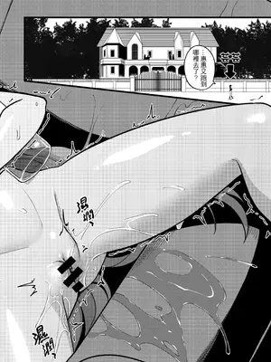 [樹蛙孤逃] 維茲與達克妮絲10個月盲盒 [中国語]_31_mjtv