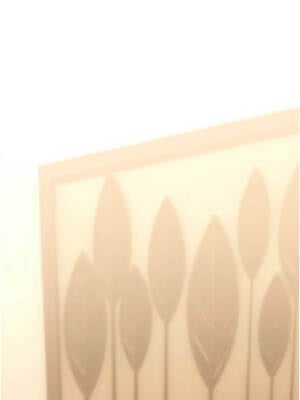 詛咒性轉物語 1-8話_07_01_momv