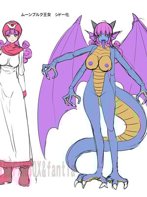 [SeaFox (霧咲白狐)] 堕つ姫 (ドラゴンクエスト II) [神州国光社]_23_msup