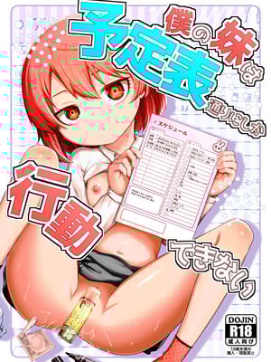 (C107) [ひやかけごはん (小矢部亮)] 僕の妹は予定表通りにしか行動できない (オリジナル) [DL版]