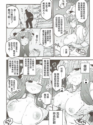 (秋季例大祭4) [サルパッチョ (猥裸)] 図書館でちんちん使う仕事 (東方Project) [明稿昨拖漢化組]_06_nfkt