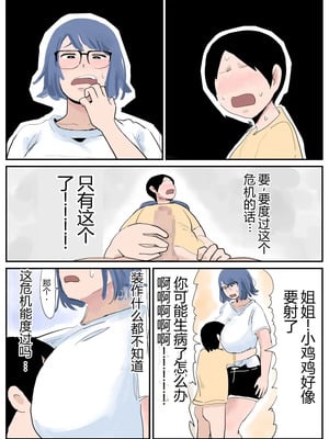 [ぐみちょこれーとぱいん] ぼくには姉がいます～まじめ長女と次女ヤンキー～ [没人汉化的我来汉化]_03_ubfp