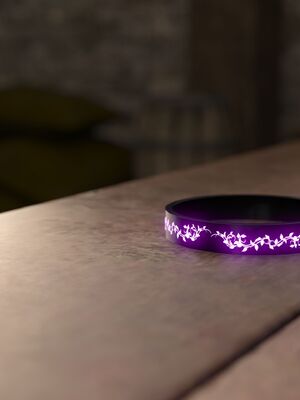 ［皮三豆］冰封邪穢的風信子 2 幕后_001_A01