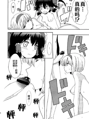 (C78) [ハラペーニョチップス (ウロ)] はーとぽーしょん (東方Project)｜心之秘药 [24K同人汉化]_14_oegc