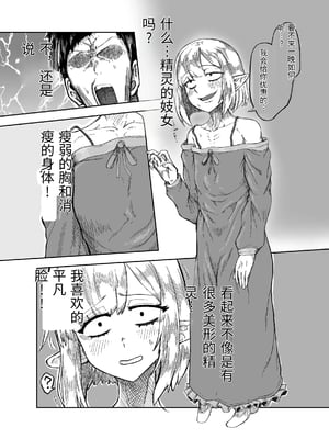 [未確認性命体 (unknown)] 風呂嫌いな地味顔エルフの娼婦を騙して嫁にする [中国翻訳]_0004