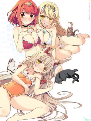 [わつき屋 (わつきるみ、結城成)] RE：COLORS!#06 キラキラkawaii! ブレイド大集合♪ (ゼノブレイドシリーズ) [DL版] [甜族星人x我不看本子汉化]_58_eiol