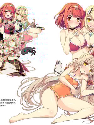 [わつき屋 (わつきるみ、結城成)] RE：COLORS!#06 キラキラkawaii! ブレイド大集合♪ (ゼノブレイドシリーズ) [DL版] [甜族星人x我不看本子汉化]_60_sgfp